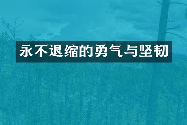永不退缩的勇气与坚韧