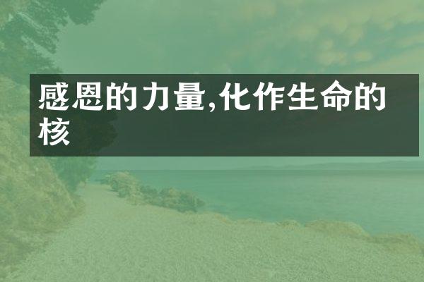 感恩的力量,化作生命的内核