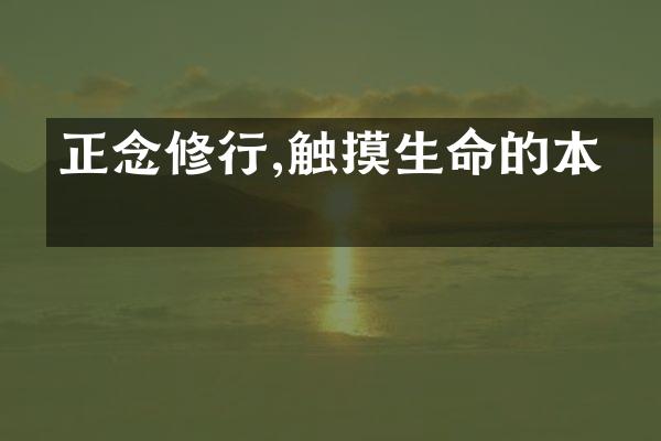 正念修行,触摸生命的本源