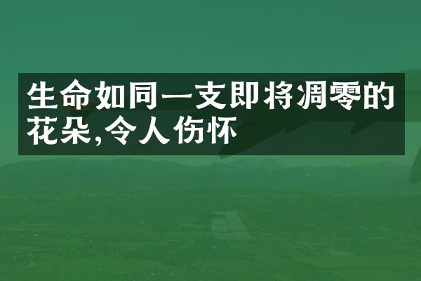 生命如同一支即将凋零的花朵,令人伤怀