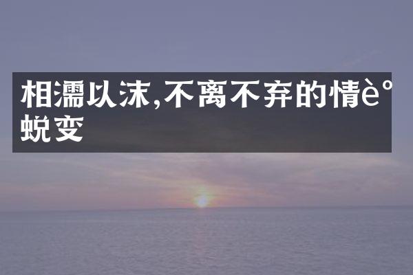 相濡以沫,不离不弃的情谊蜕变