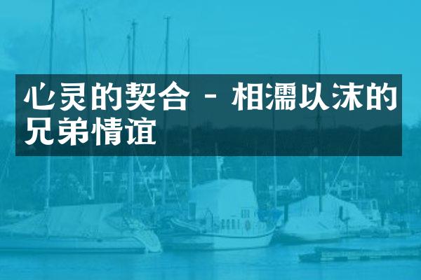 心灵的契合 - 相濡以沫的兄弟情谊
