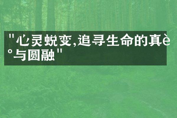 "心灵蜕变,追寻生命的真谛与圆融"