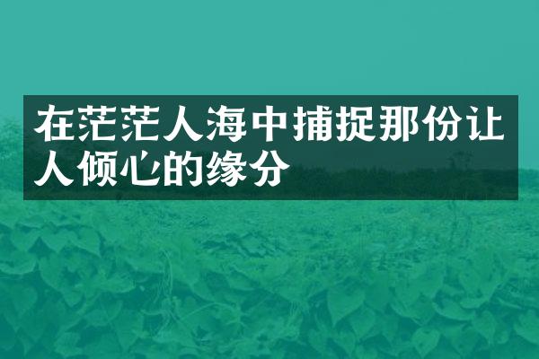 在茫茫人海中捕捉那份让人倾心的缘分
