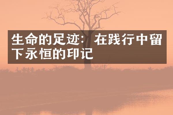 生命的足迹：在践行中留下永恒的印记