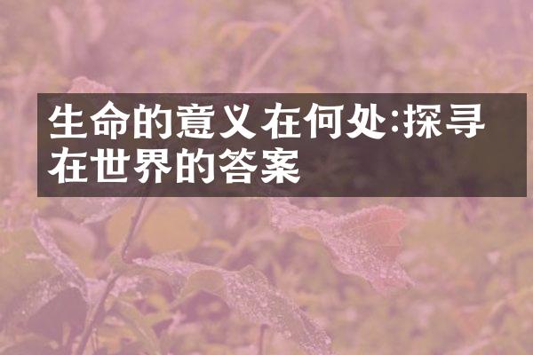 生命的意义在何处:探寻内在世界的答案