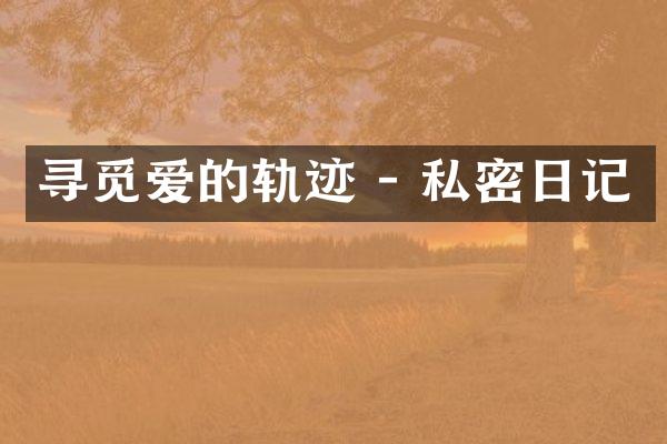 寻觅爱的轨迹 - 私密日记