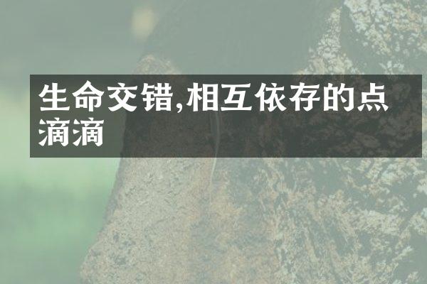 生命交错,相互依存的点点滴滴
