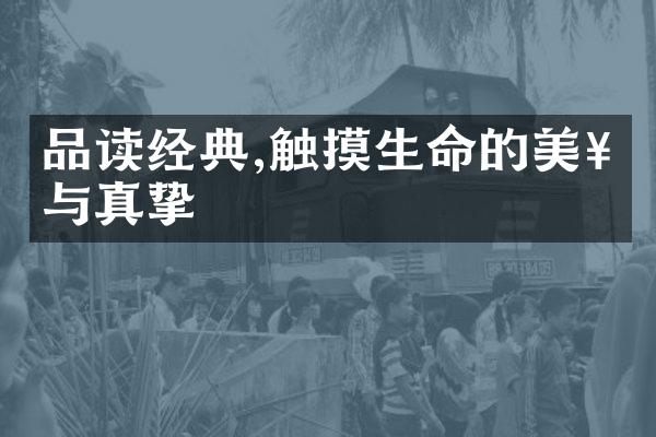 品读经典,触摸生命的美好与真挚