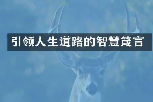 引领人生道路的智慧箴言