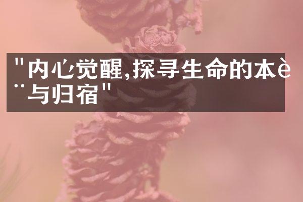 "内心觉醒,探寻生命的本质与归宿"