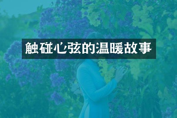触碰心弦的温暖故事