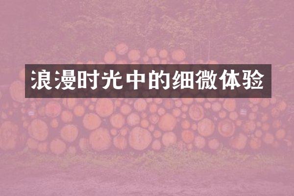 浪漫时光中的细微体验