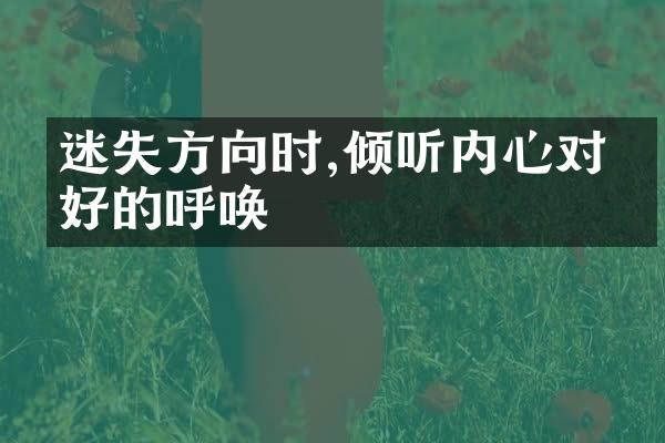 迷失方向时,倾听内心对美好的呼唤