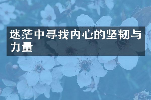 迷茫中寻找内心的坚韧与力量
