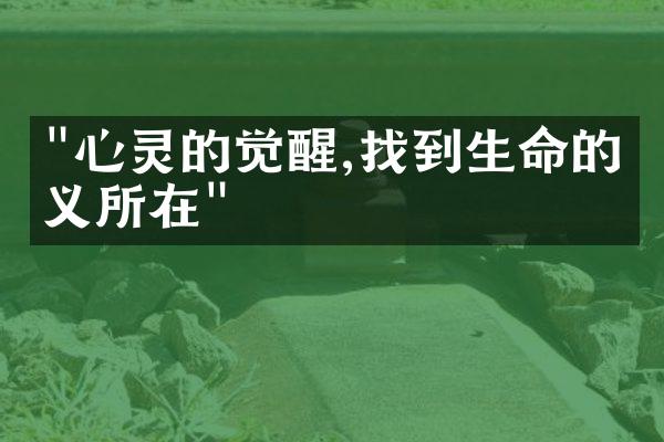 "心灵的觉醒,找到生命的意义所在"