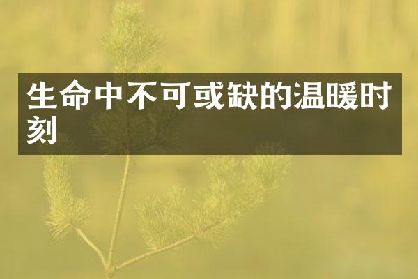 生命中不可或缺的温暖时刻