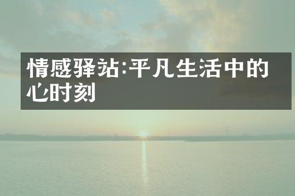 情感驿站:平凡生活中的暖心时刻