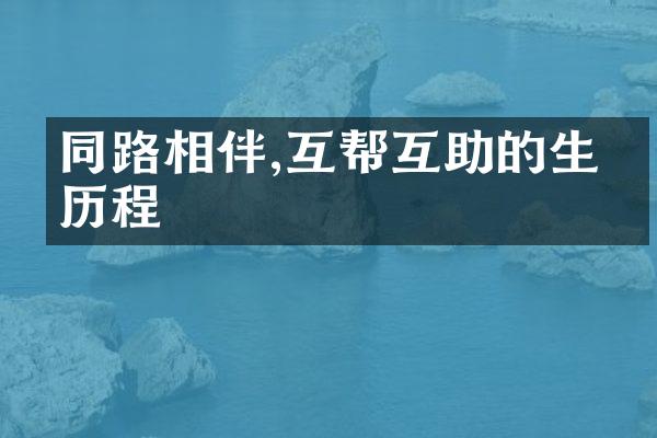 同路相伴,互帮互助的生命