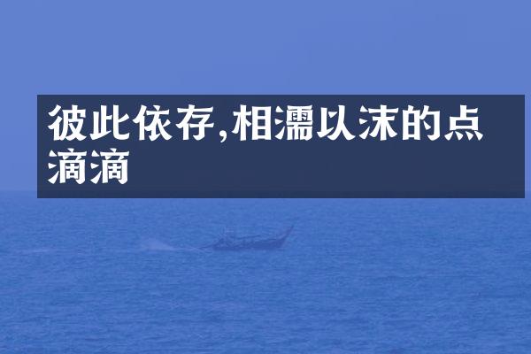 彼此依存,相濡以沫的点点滴滴