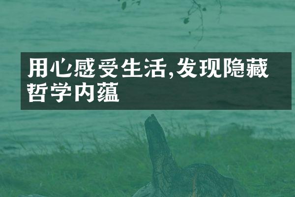 用心感受生活,发现隐藏的哲学内蕴