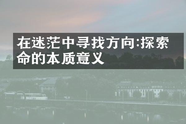 在迷茫中寻找方向:探索生命的本质意义