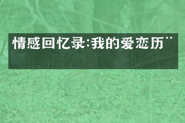 情感回忆录:我的爱恋