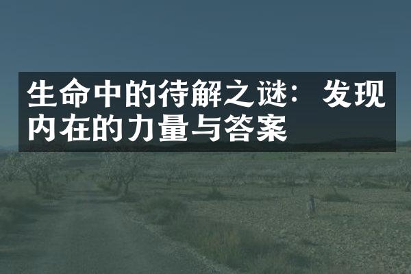 生命中的待解之谜：发现内在的力量与答案