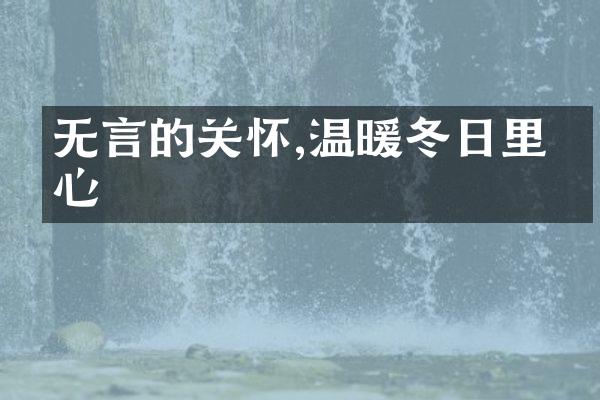 无言的关怀,温暖冬日里的心