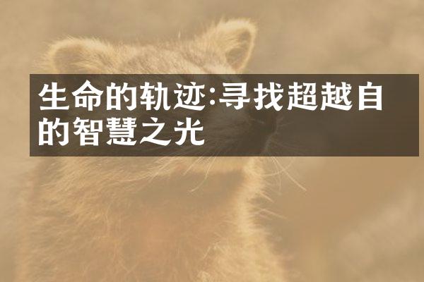 生命的轨迹:寻找超越自我的智慧之光
