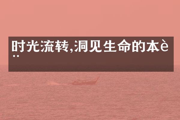 时光流转,洞见生命的本质