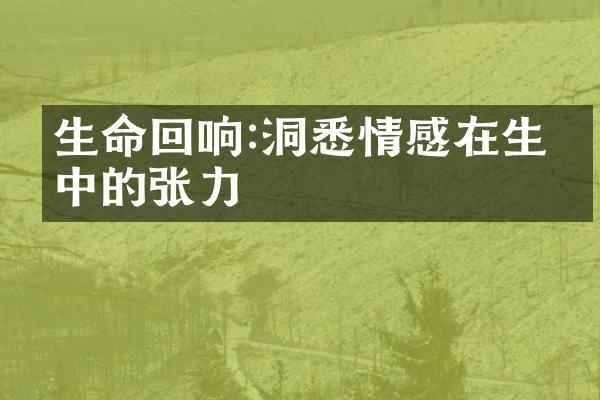 生命回响:洞悉情感在生命中的张力