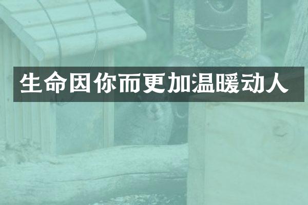 生命因你而更加温暖动人