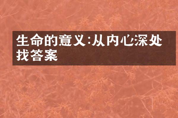 生命的意义:从内心深处寻找答案
