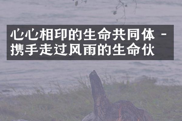 心心相印的生命共同体 - 携手走过风雨的生命伙伴