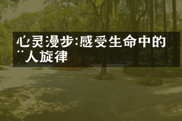 心灵漫步:感受生命中的动人旋律