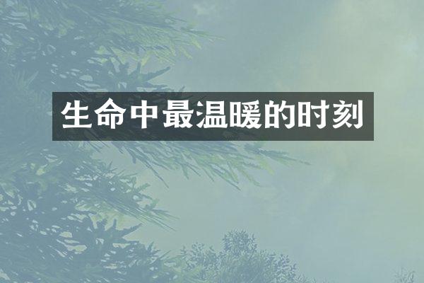 生命中最温暖的时刻