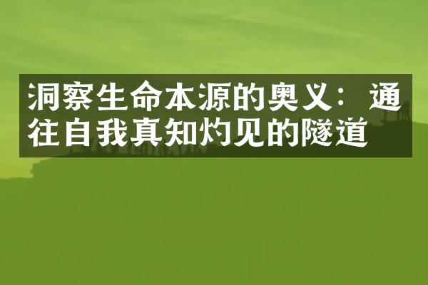 洞察生命本源的奥义：通往自我真知灼见的隧道