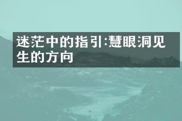 迷茫中的指引:慧眼洞见人生的方向