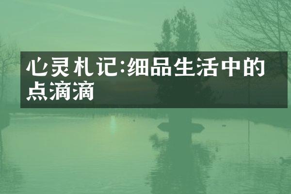 心灵札记:细品生活中的点点滴滴