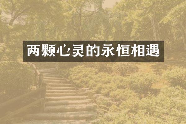 两颗心灵的永恒相遇