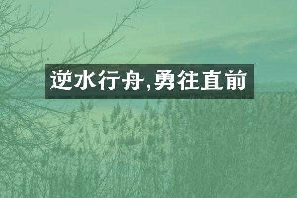 逆水行舟,勇往直前