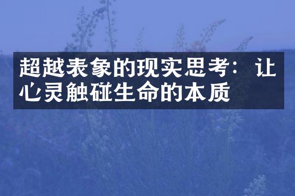 超越表象的现实思考：让心灵触碰生命的本质