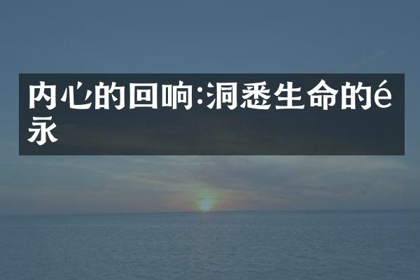 内心的回响:洞悉生命的隽永
