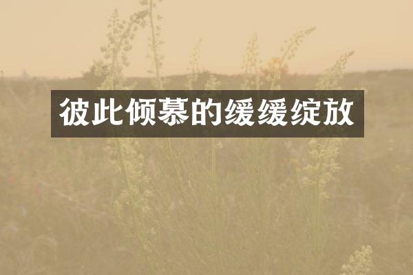 彼此倾慕的缓缓绽放