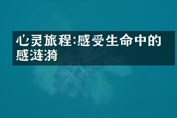 心灵旅程:感受生命中的情感涟漪