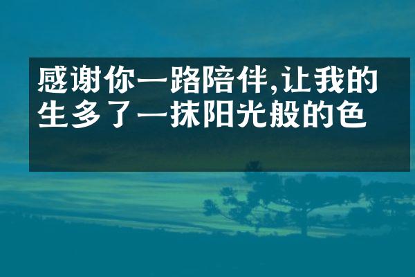 感谢你陪伴,让我的人生多了一抹阳光般的色彩