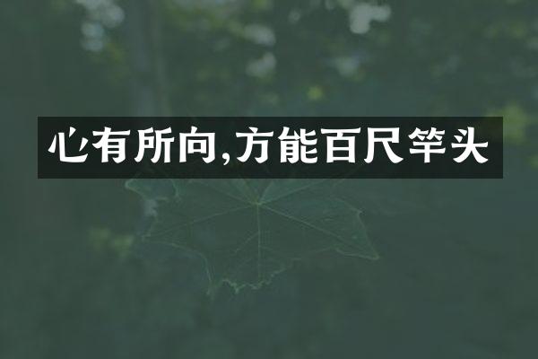心有所向,方能百尺竿头