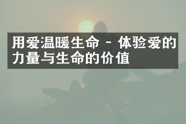 用爱温暖生命 - 体验爱的力量与生命的价值