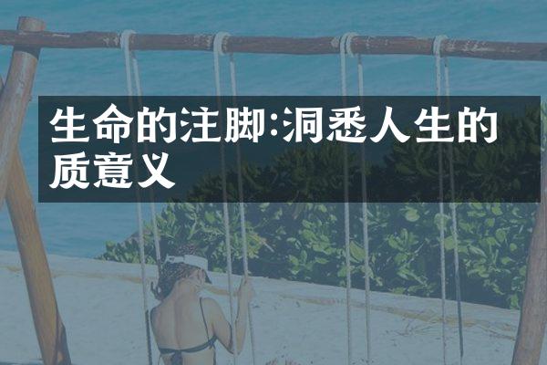 生命的注脚:洞悉人生的本质意义
